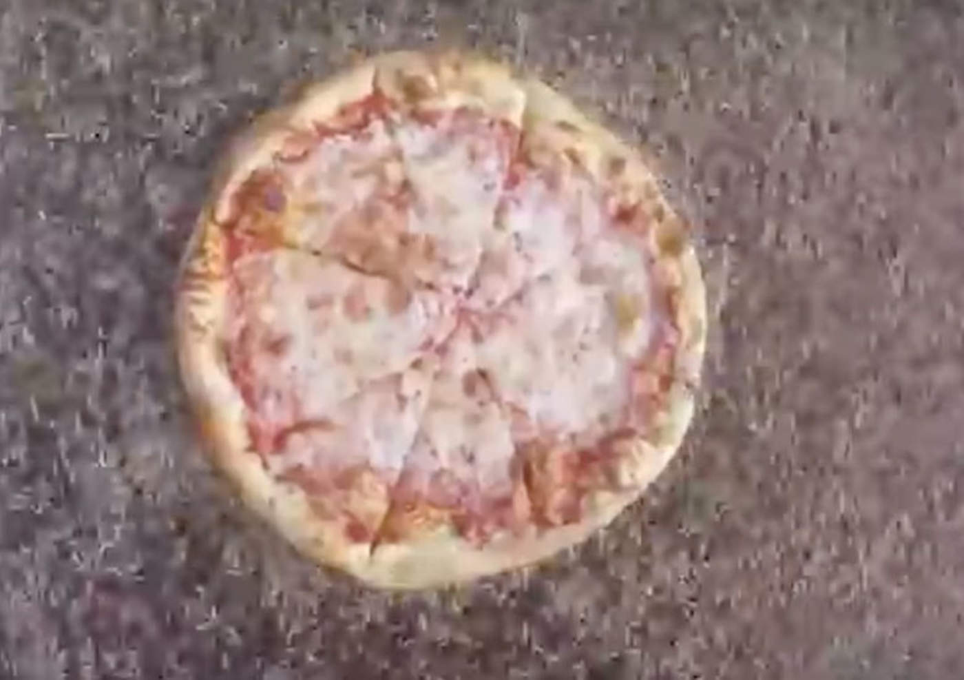 Captan a más de 10 mil gusanos devorando una pizza