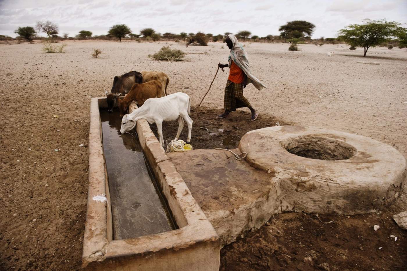 El cambio climático será 'desastroso' para África, según Guterres