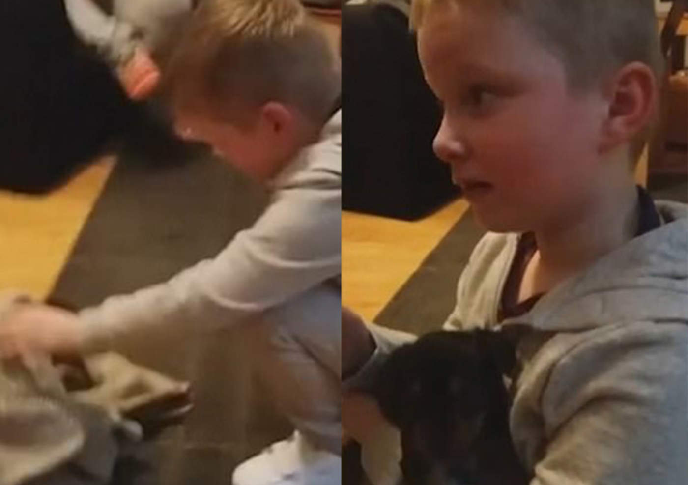 La tierna reacción de un niño con autismo al recibir un cachorro