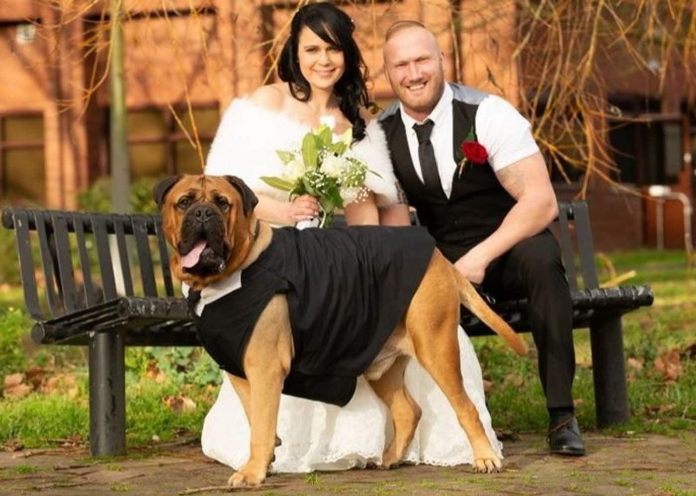 Adelantan su boda para que su perro enfermo pueda asistir