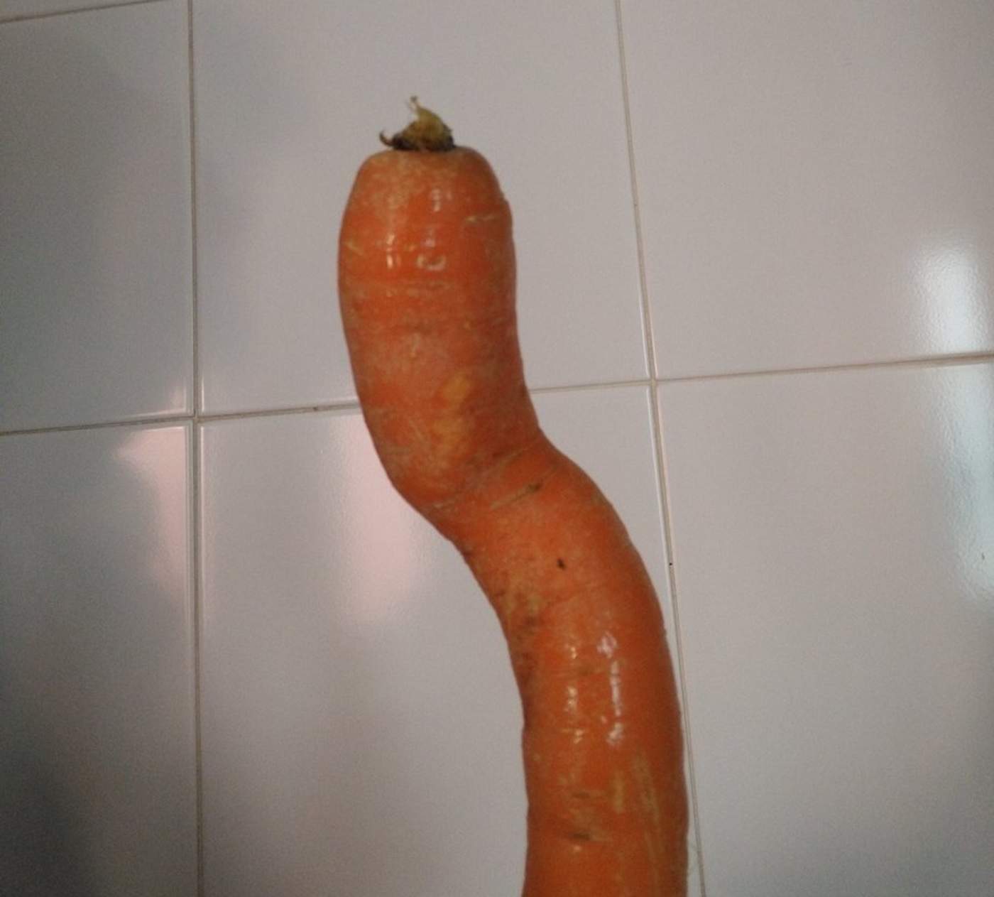 Zanahoria deforme se vuelve tendencia viral en Twitter