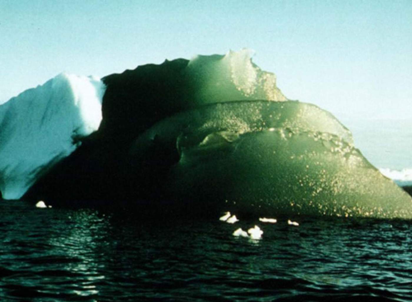 Explican por qué hay icebergs verdes en la Antártida
