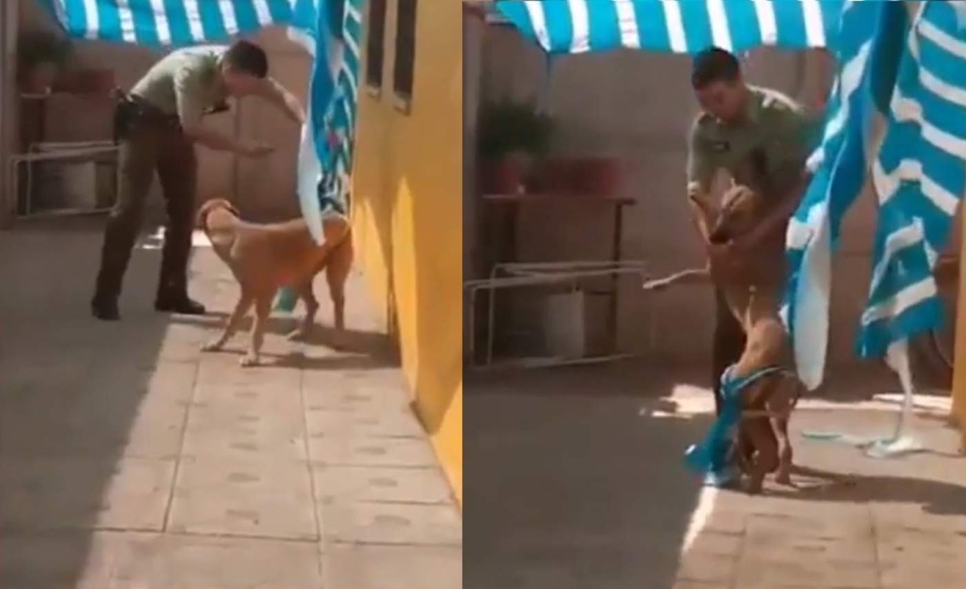 Reacción de perro al ser rescatado por un policía se vuelve viral