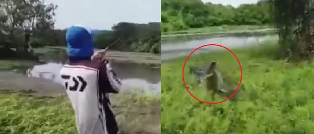 Hombres son sorprendidos por un cocodrilo mientras pescaban