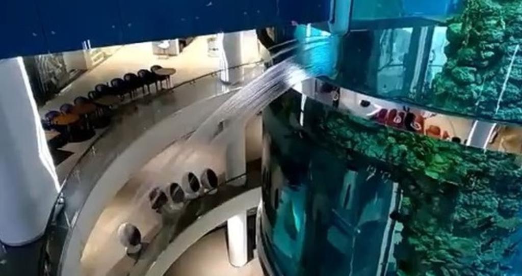 Se rompe uno de los acuarios cilíndricos más grandes del mundo
