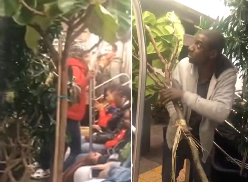 Hombre viajando con varios árboles en el metro se hace viral