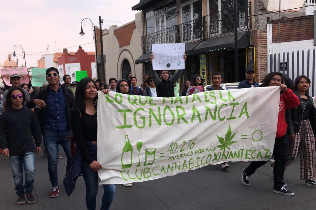 Estudiará UNAM uso medicinal de la marihuana