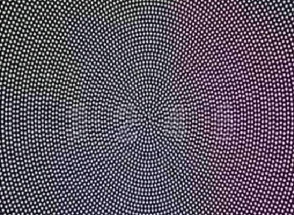 La ilusión óptica que determina si tienes problemas de la vista