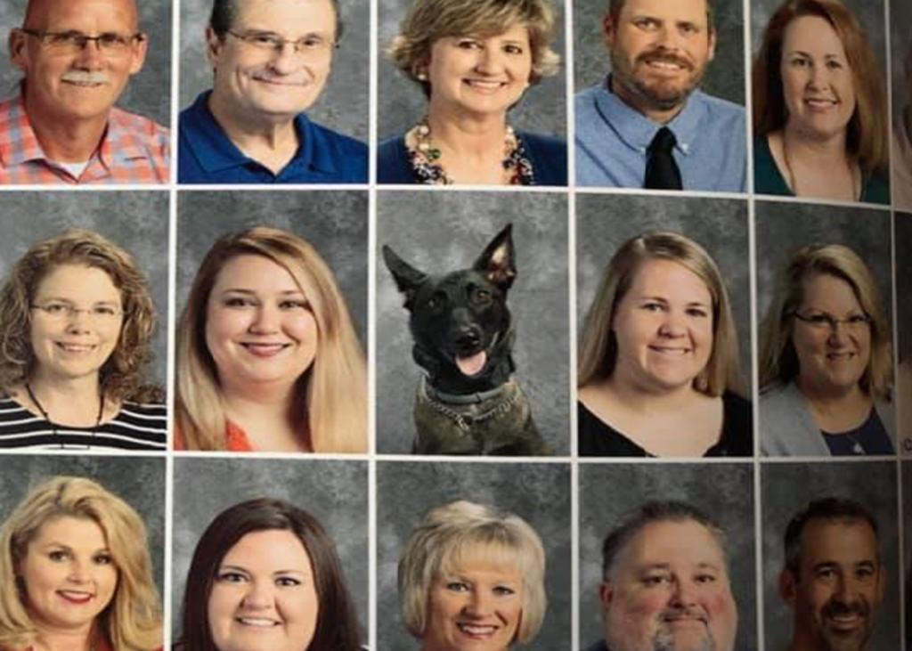 Un perro aparece en un anuario escolar