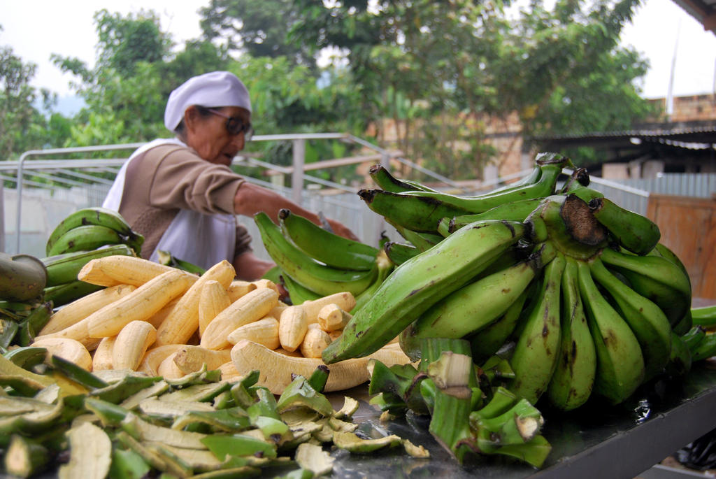 Firman acuerdo para exportar plátano a China