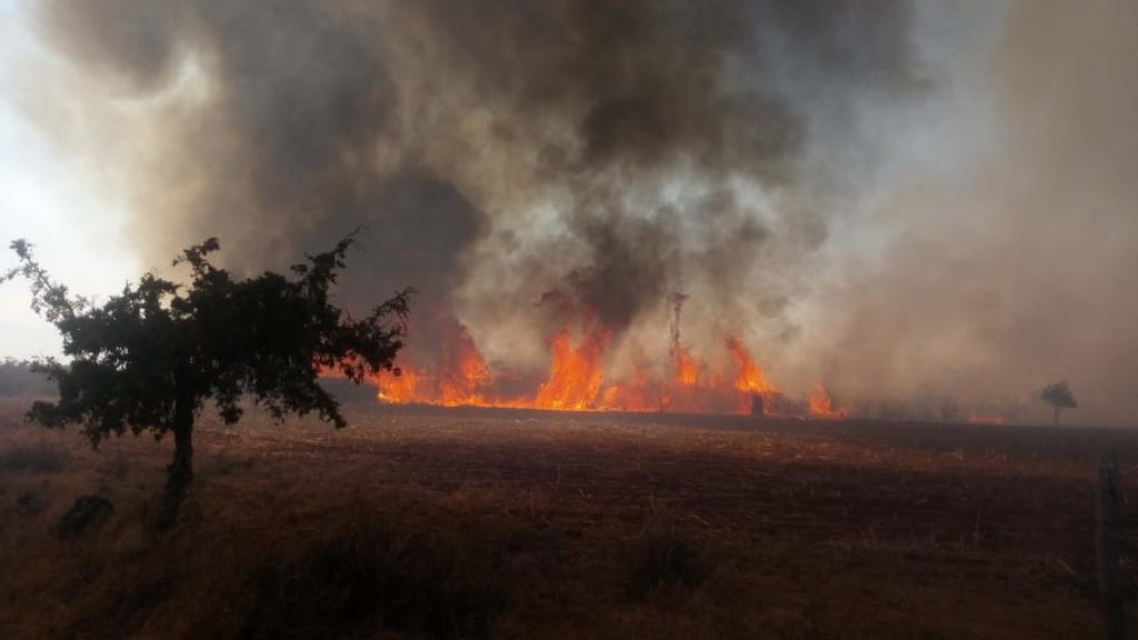 Se registra fuerte incendio en ejido de Saltillo