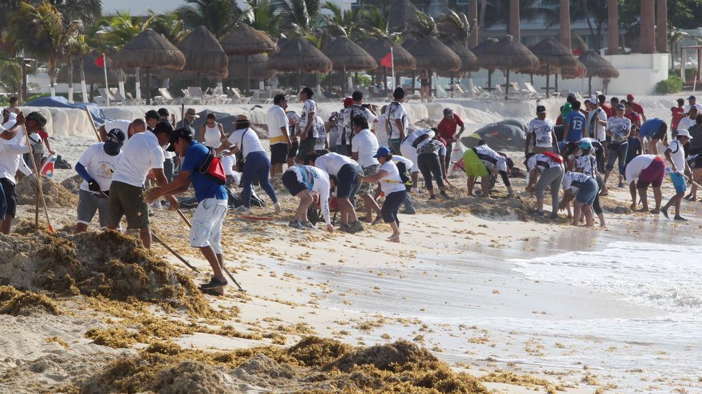 Marina recolecta 15 toneladas de sargazo en Quintana Roo