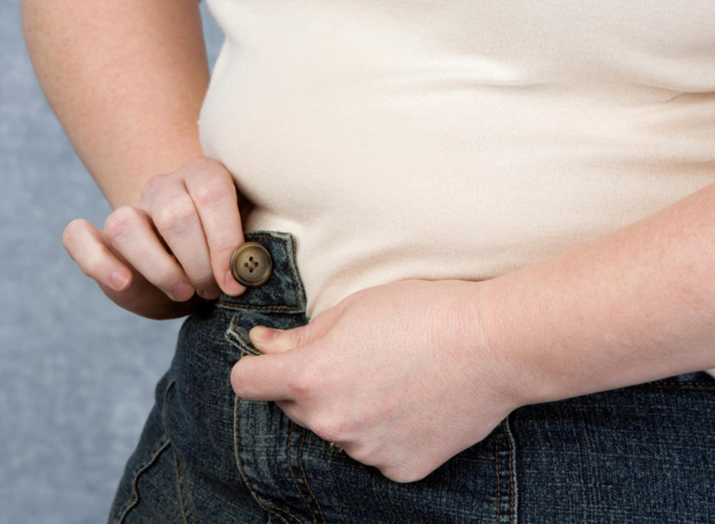 Identifican bacterias intestinales para combatir obesidad y estrés