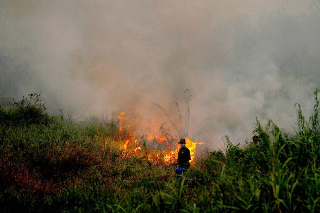 Controlado en 90 por ciento incendio forestal en Saltillo