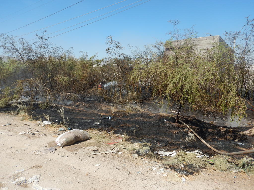 Se 'disparan' incendios en lotes baldíos de Torreón