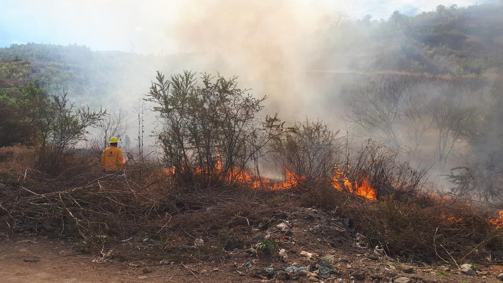Personas provocan el 98 por ciento de los incendios forestales en México