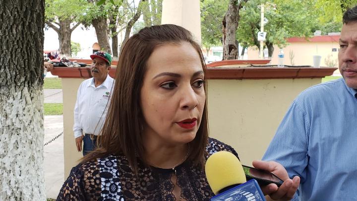 'No se puede hablar a la ligera de que a Coahuila regreso la inseguridad': Sonia VIllarreal