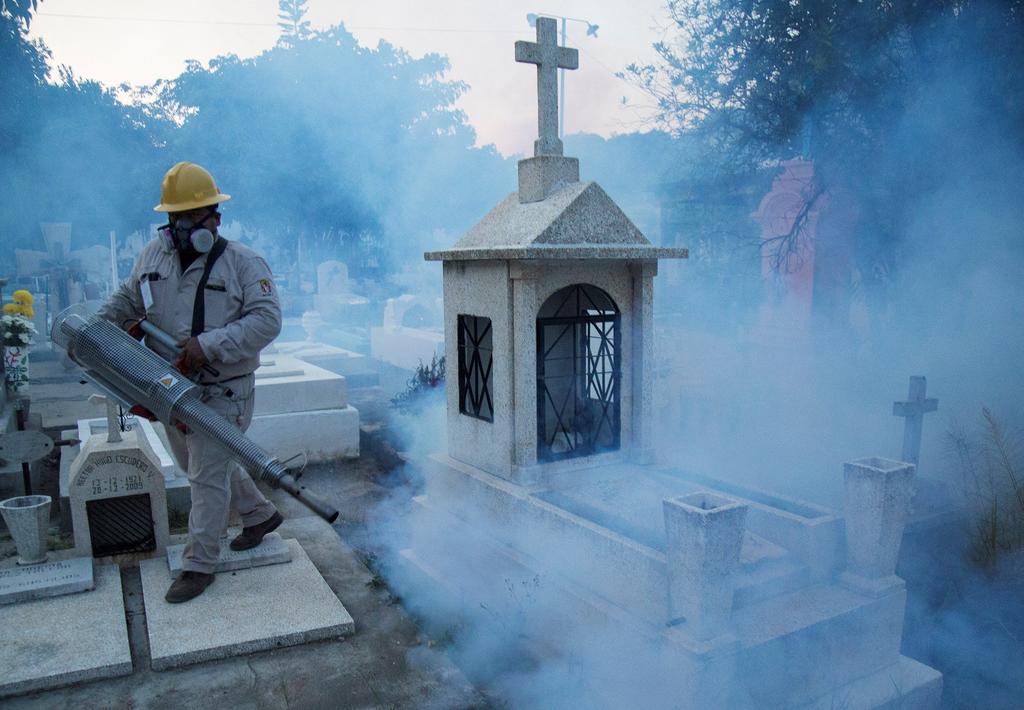Gobierno no ha comprado insecticida para combatir dengue: ONG