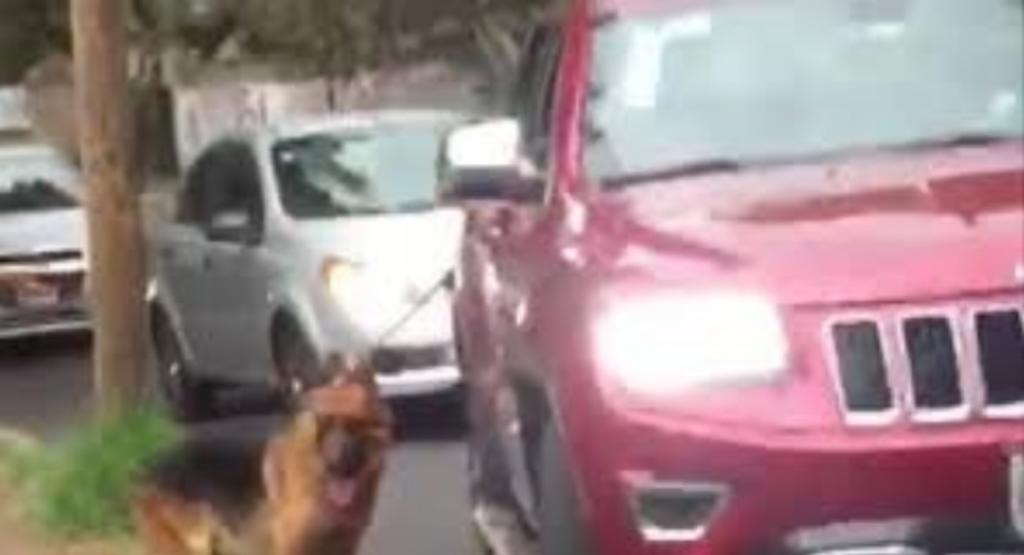 Indigna hombre que arrastra a su perro desde una camioneta