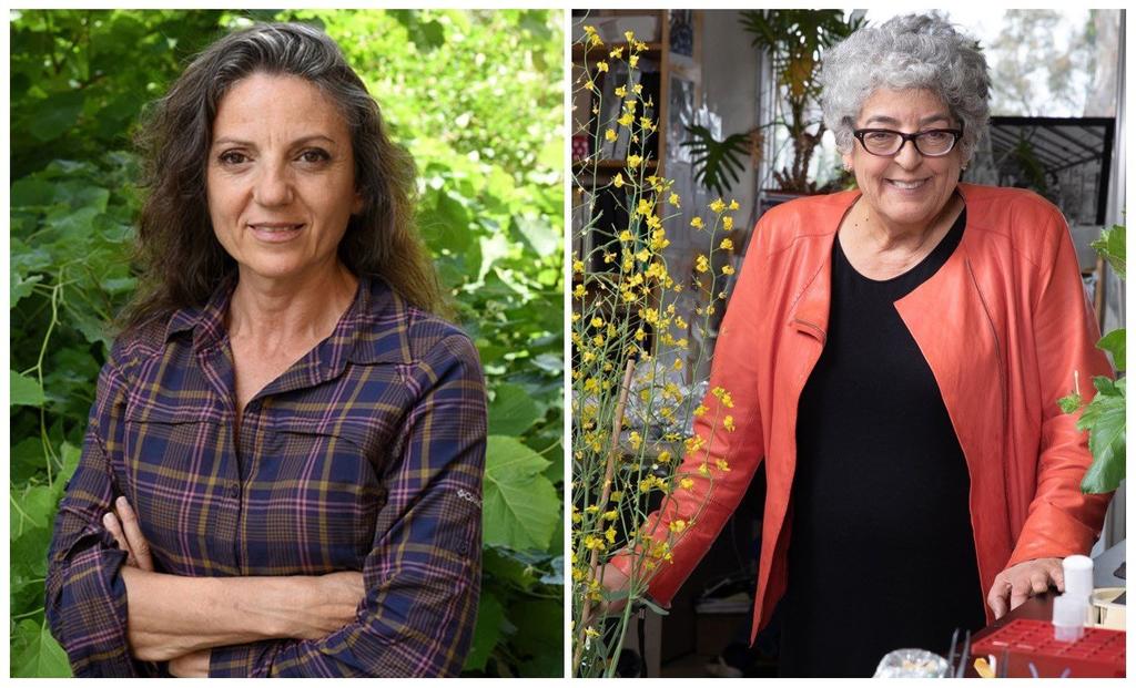 Joanne Chory y Sandra Myrna, pioneras contra la crisis climática