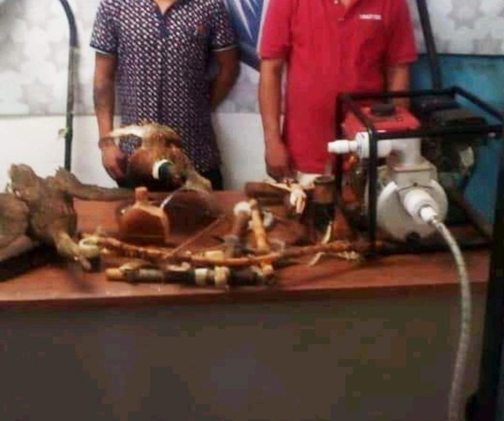 Detienen a dos por robo en cabañas de Arteaga