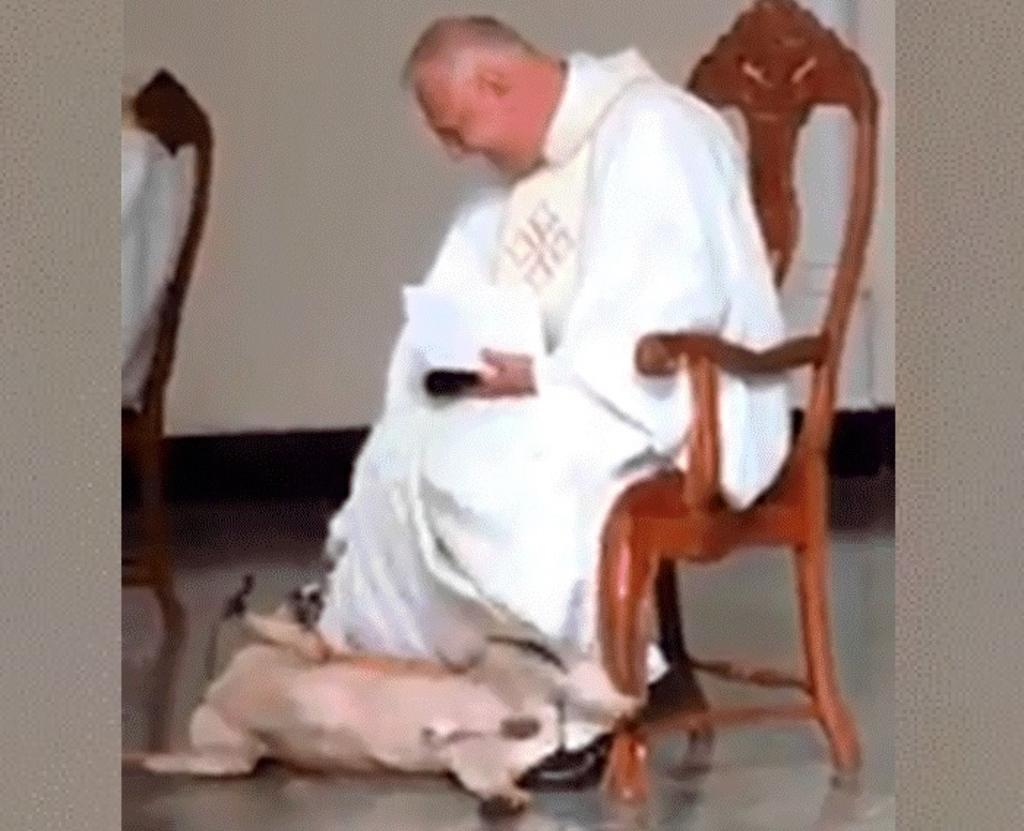VIRAL: Perro interrumpe misa al jugar con túnica de sacerdote