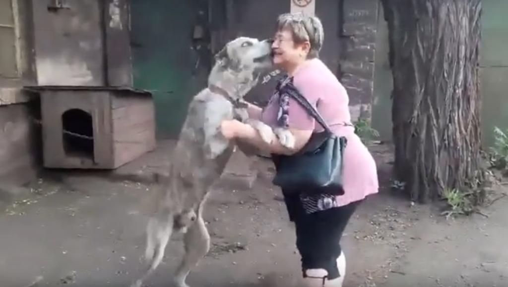 VIRAL: El conmovedor reencuentro de un perro y su dueña tras dos años