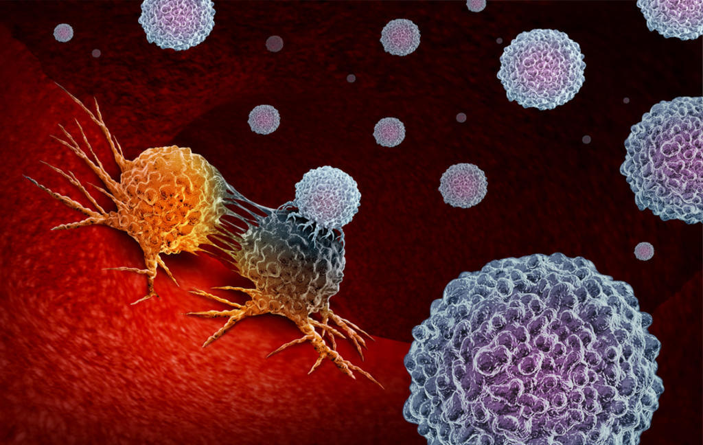 Células cancerígenas se hacen inmortales con vitamina C