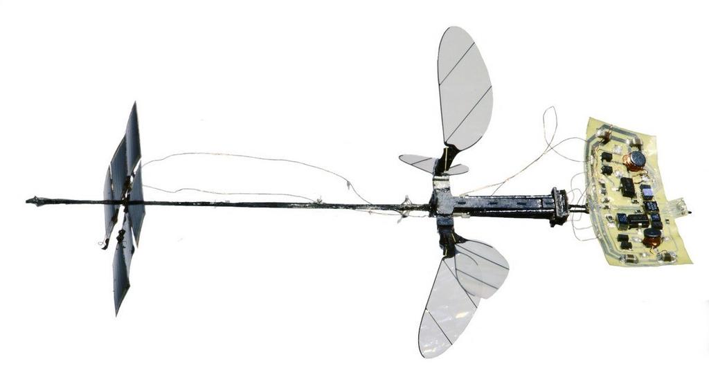 Diseñan un pequeño robot inspirado en un insecto volador