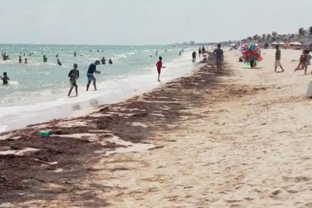 'Incomparable' llegada de sargazo en Quintana Roo, dicen desde Yucatán