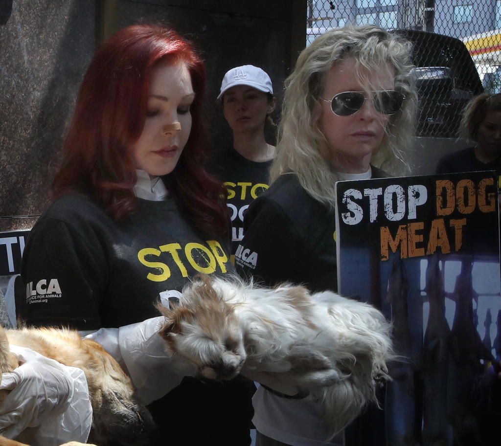 Protestan en Corea del Sur por consumo de carne de perro