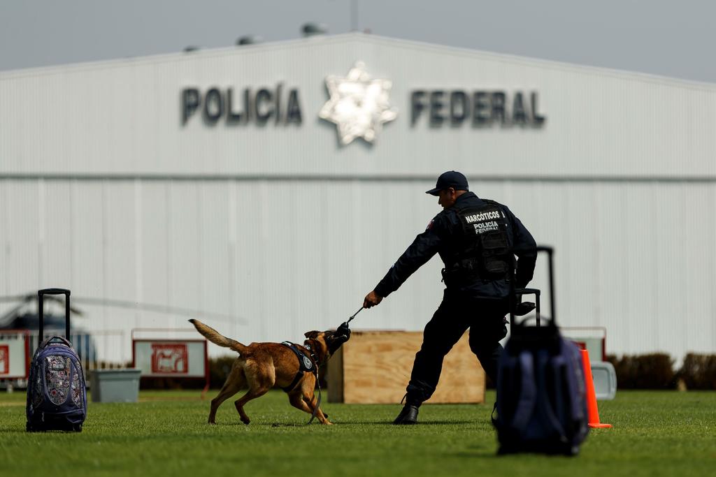 Policía Federal dará en adopción 28 oficiales caninos