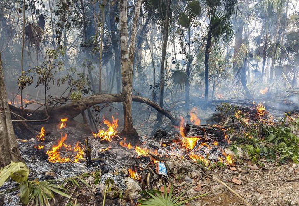 Daños por incendios en Sian Ka'an pueden persistir 200 años