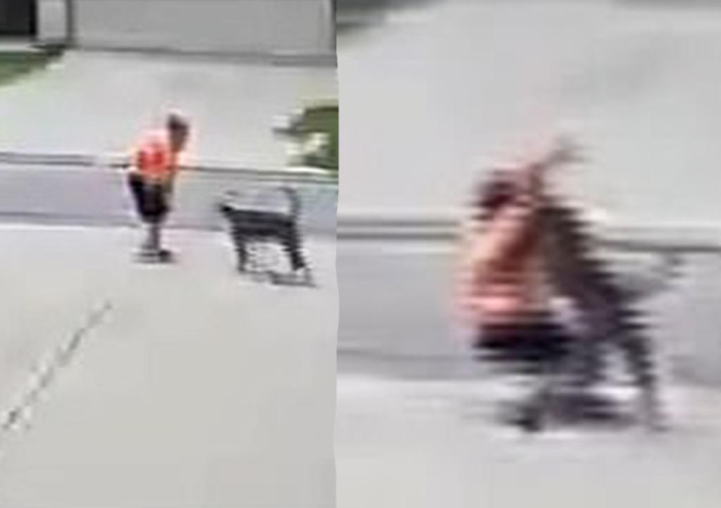 Niño de seis años es atacado por pitbull