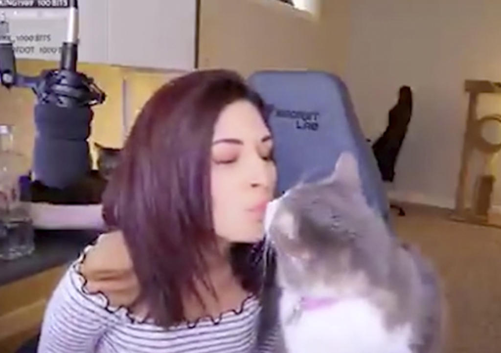 Chica gamer es criticada por dar vodka a su gato