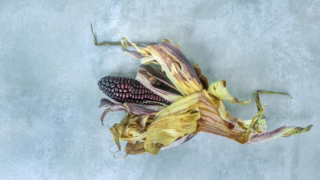 ¿Cuáles son los beneficios del maíz morado?