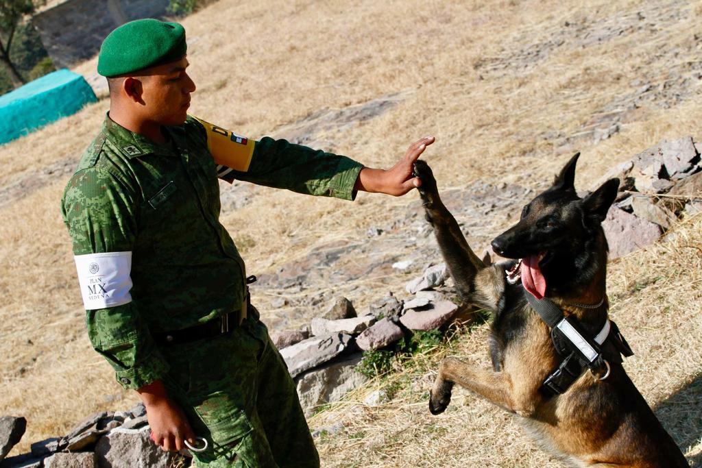 Binomio canino localiza droga oculta en muñecos de peluche