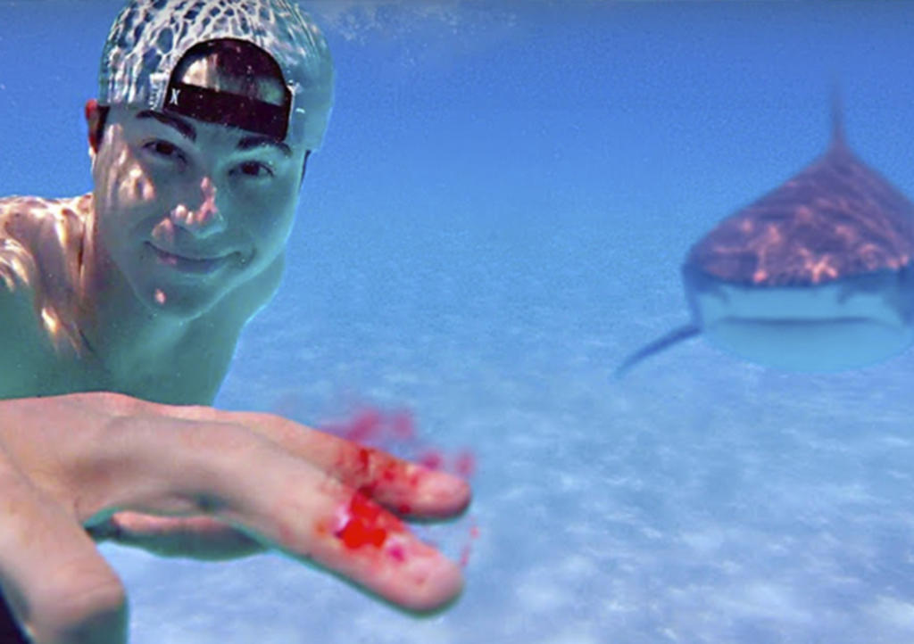 'Youtuber' usa su sangre como carnada de tiburón