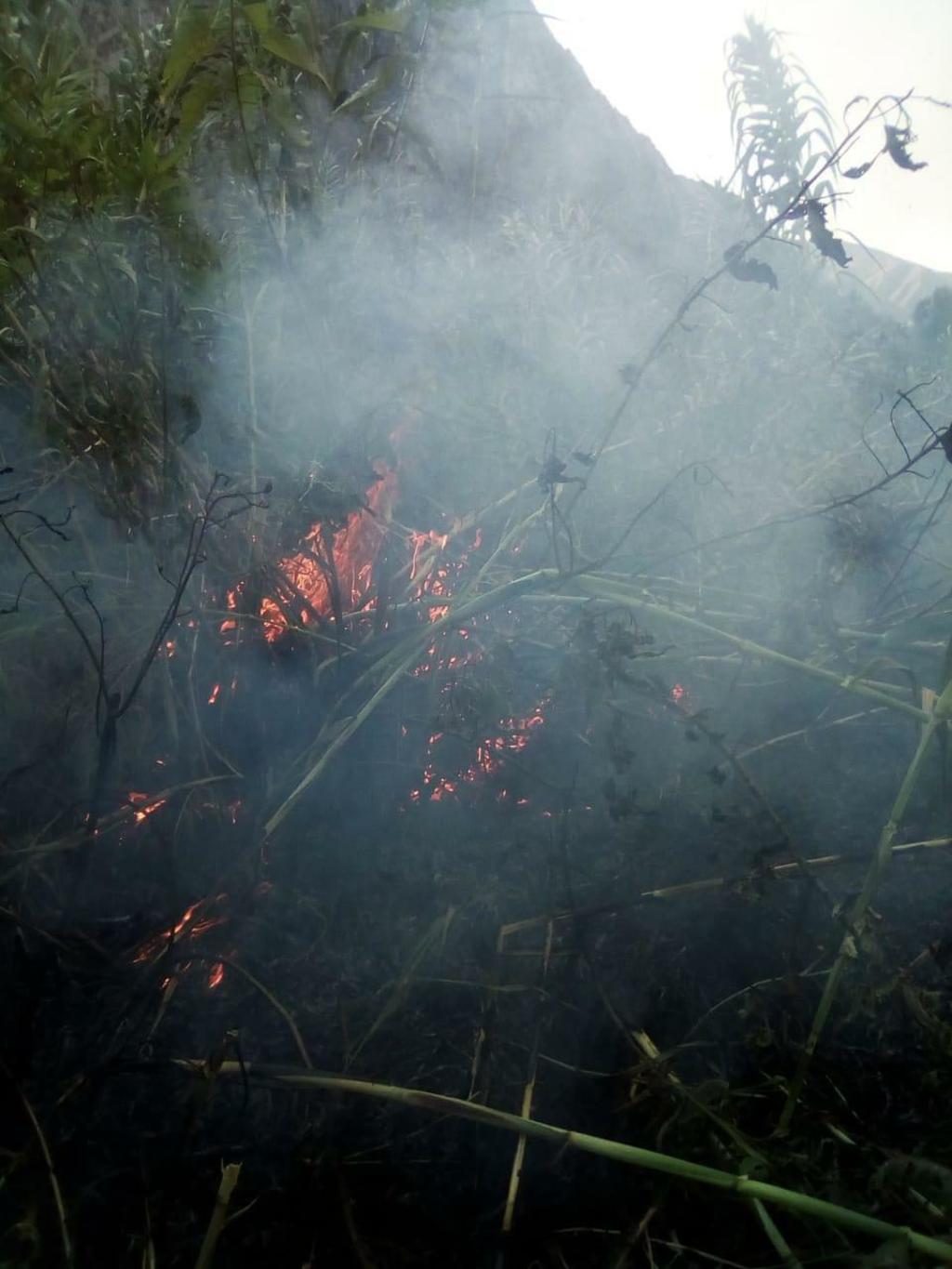 Reportan incendio en Cañón de Fernández de Lerdo