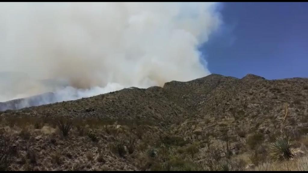 Incendio en Laguna del Rey ha afectado más de mil hectáreas