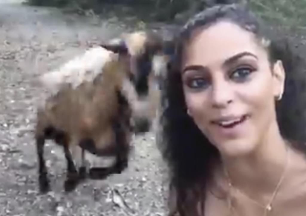 Intenta tomarse selfie con cabra y ocurre algo inesperado