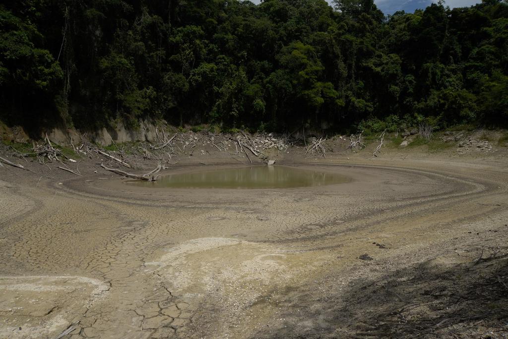 Se deseca laguna en selva del sureste de México por crisis climática