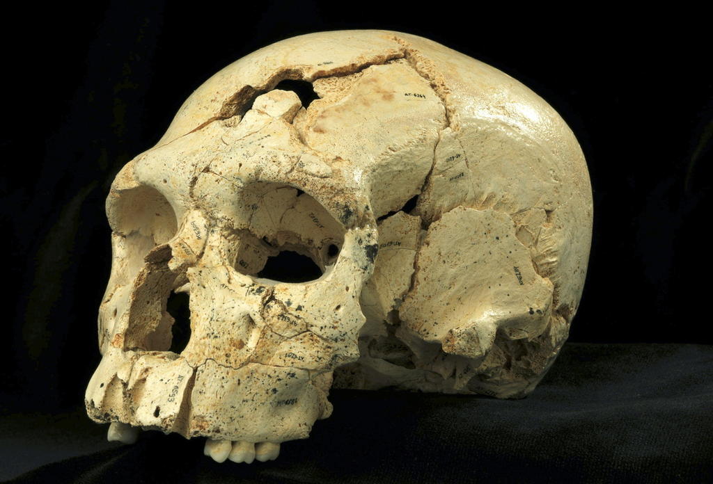 Deformación artificial del cráneo se practicaba hace 1,500 años