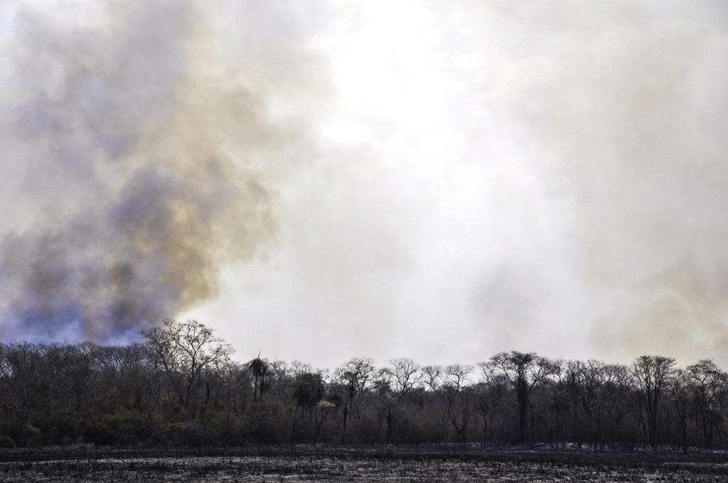 Paraguay decreta emergencia por incendios en la zona del Pantanal