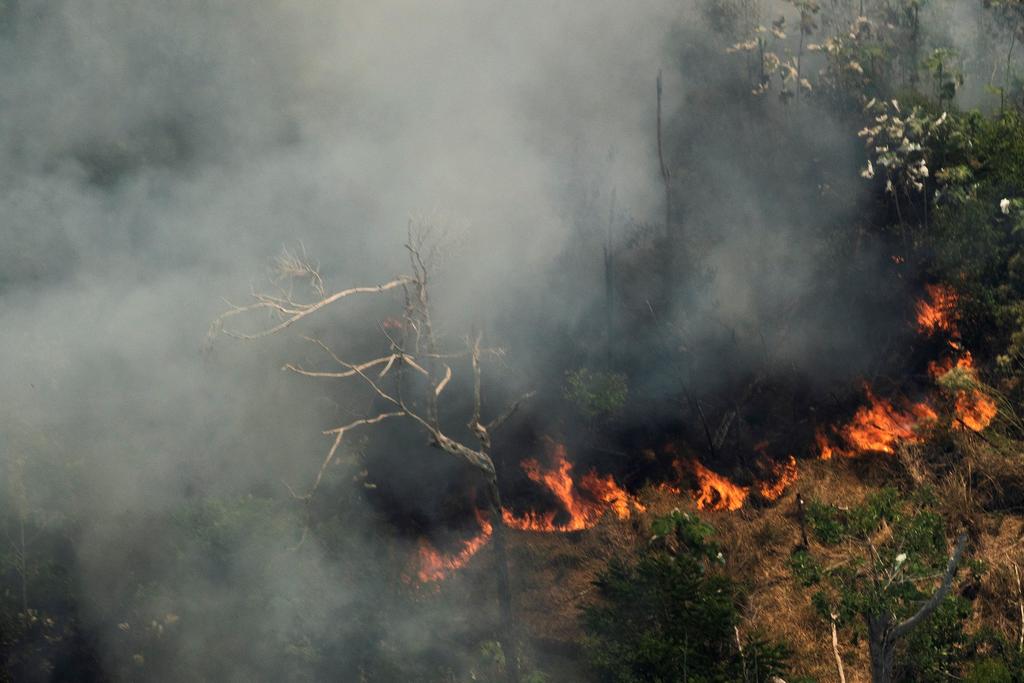 Humo de los incendios del Amazonas llega al norte de Argentina