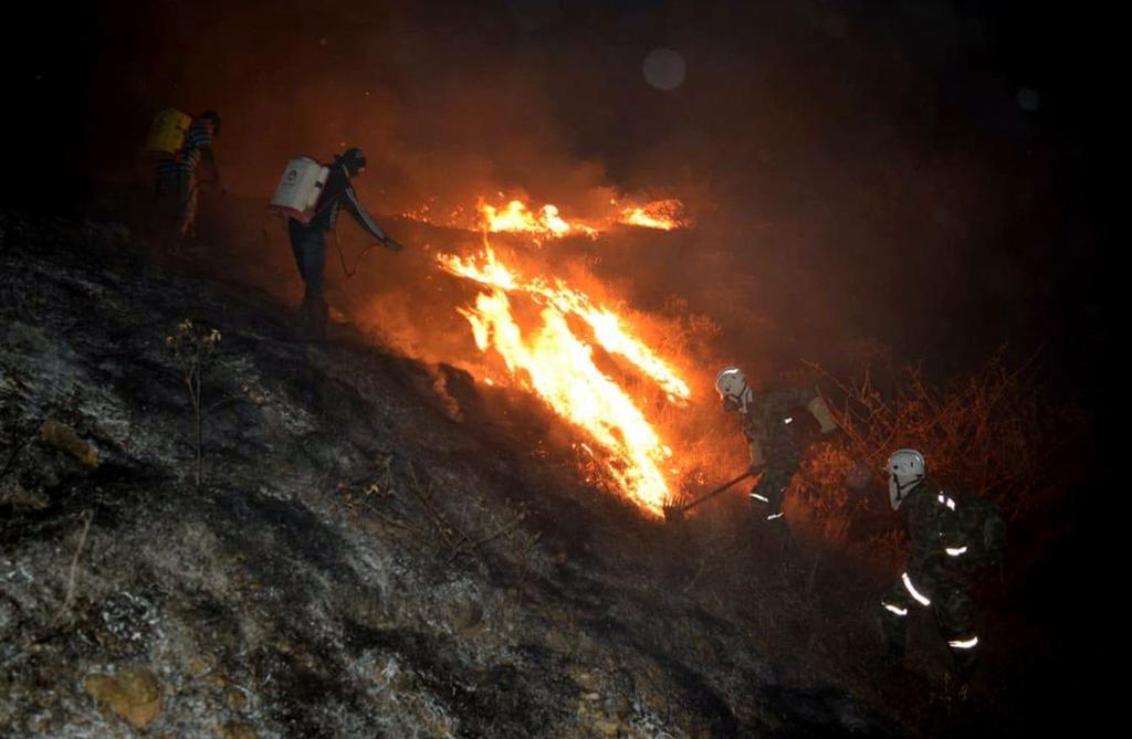 Alertan que Colombia está bajo la amenaza de incendios forestales