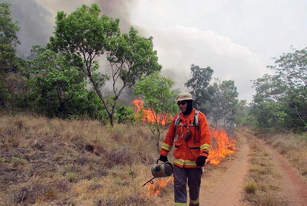 Ejército de Brasil inicia combate de incendios en Amazonas