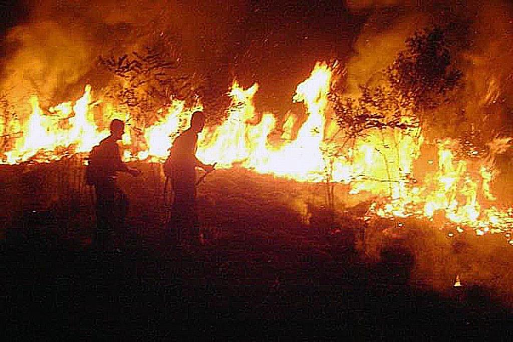 Siete estados en Brasil solicitan apoyo de militares contra incendios