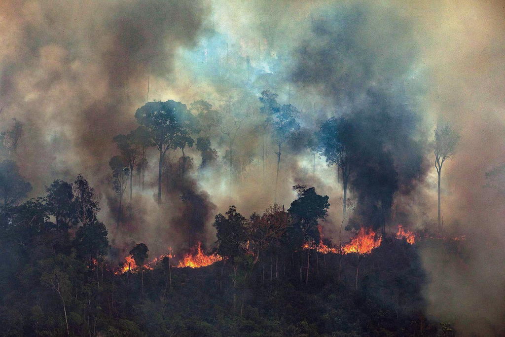 Incendios en el Amazonas se cuadruplicaron este año