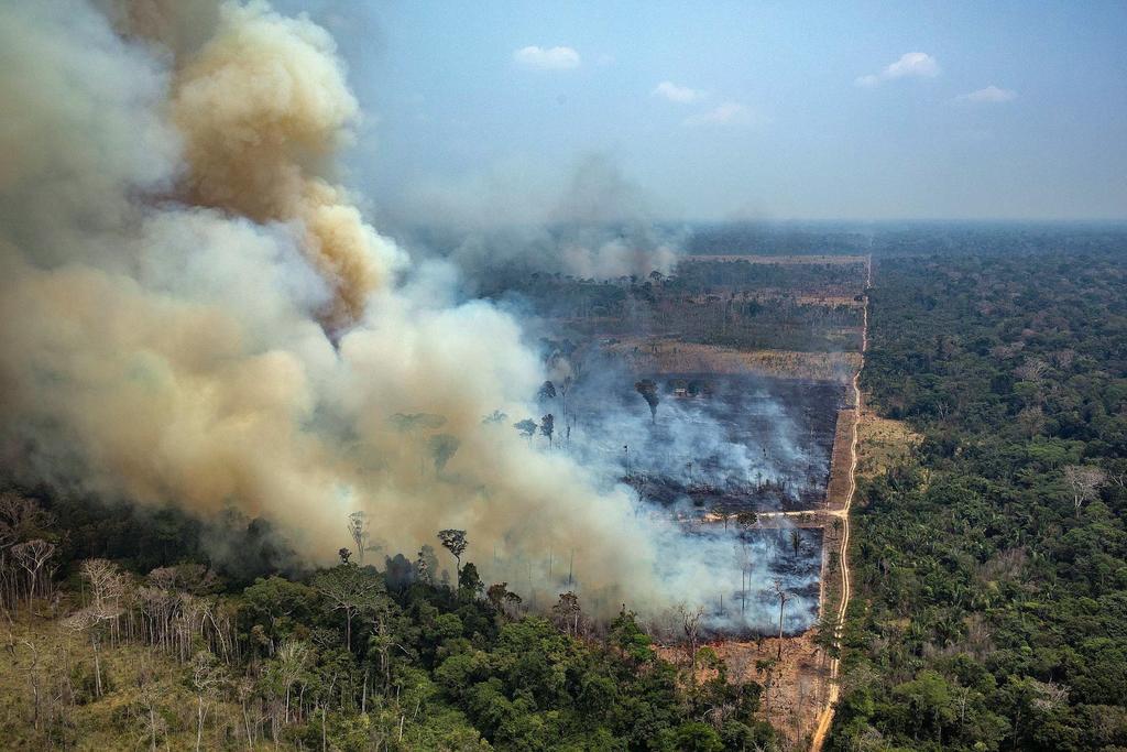 Confirma Canadá que Brasil rechazó su ayuda para el Amazonas
